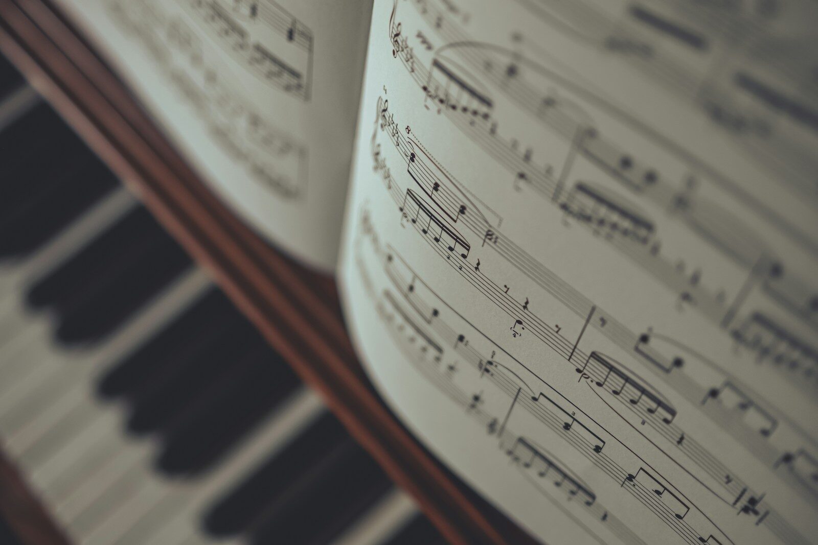 découvrez une large sélection de partitions de trompette pour tous les niveaux. téléchargez gratuitement ou achetez vos morceaux préférés et enrichissez votre répertoire musical dÚs aujourd'hui !